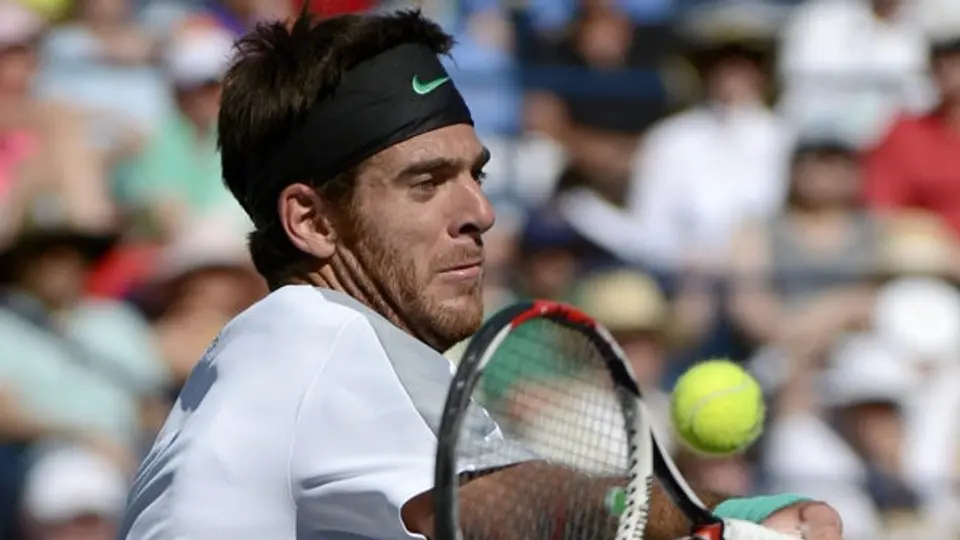 'Contra Nadal, debo hacer un juego perfecto': Del Potro