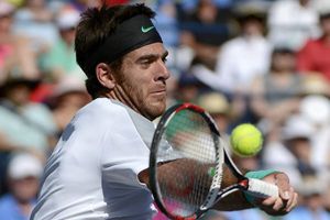 'Contra Nadal, debo hacer un juego perfecto': Del Potro