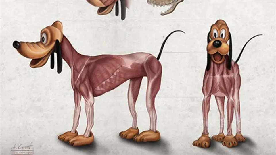 Ilustran anatomía interior de personajes de Disney