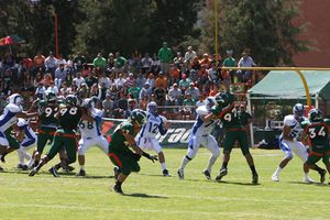 Borregos Salvajes se quedan con las ganas