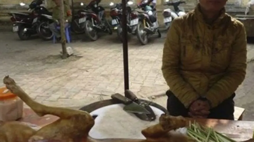 En Vietnam secuestran, revenden o cocinan mascotas