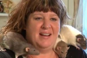 Mujer estadounidense cambia a su marido por 19 ratas