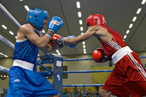 México quedó a deber en el boxeo panamericano