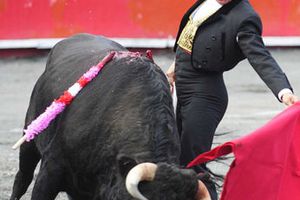 Eloy Cavazos se presenta hoy por ayudar