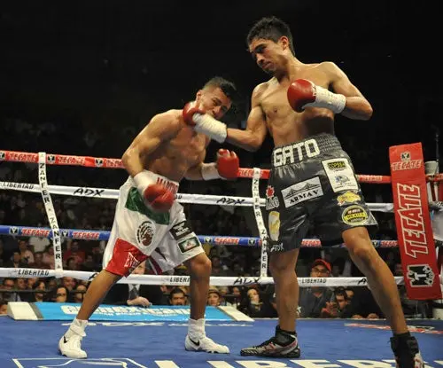 Guerrero, segundo Campeón 'Barrera'