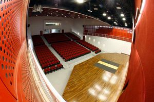 Abanderado de Chile fuera por dopaje de JP