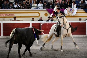 No volverían a traer a Ventura