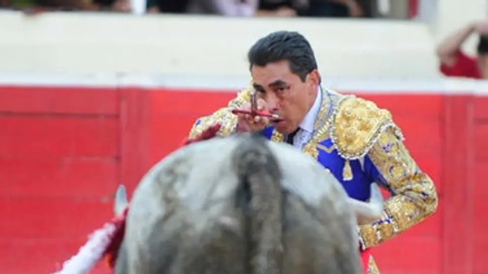 Se prohibirían la muerte de toros en los ruedos regiomontanos