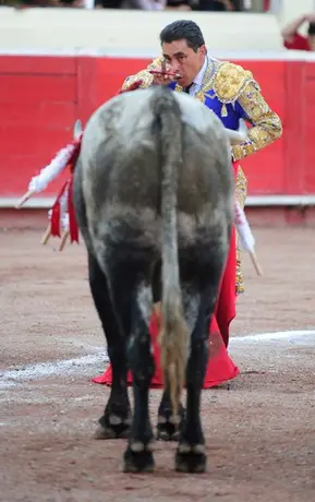 Se prohibirían la muerte de toros en los ruedos regiomontanos