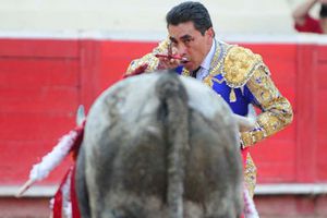 Se prohibirían la muerte de toros en los ruedos regiomontanos