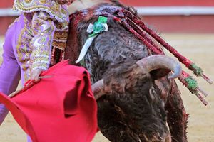 Mano a mano triunfal entre los novilleros