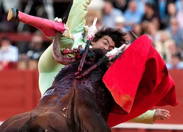 Curro Díaz sufre fractura de peroné tras recibir cornada