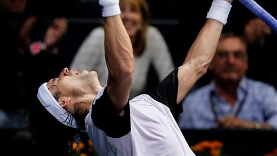 Ferrer vence a Soderling y avanza a la Final en Valencia