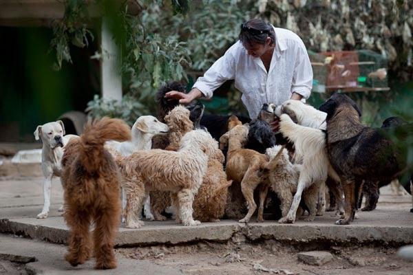 No entiende la irresponsabilidad del ser humano al abandonar a su compañía | ESPECIAL