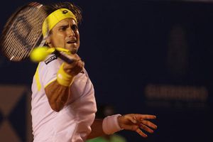 Ferrer avanza a Cuartos del Abierto Mexicano de Tenis