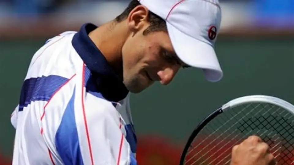 Djokovic arrebata el número dos a Federer