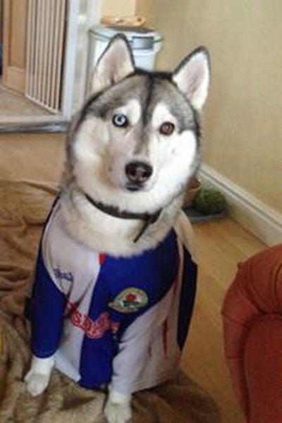 Sasha es fan de los Blackburn Rovers | ESPECIAL