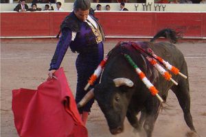 Será Octubre un mes para la Fiesta Brava regia