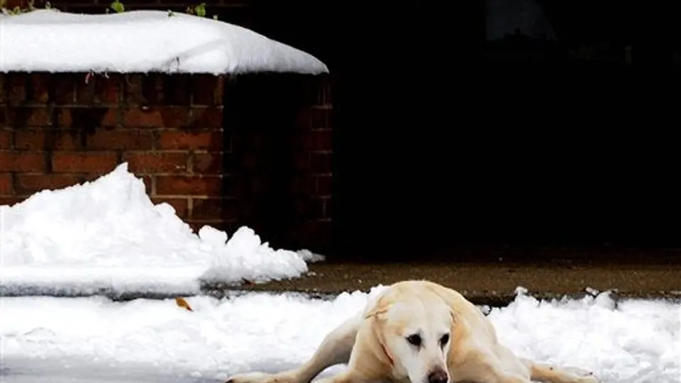NBA pospone juego Bucks-Hawks por tormenta de nieve