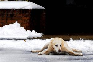 NBA pospone juego Bucks-Hawks por tormenta de nieve