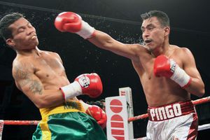 'Pingo' noqueó a Arden Diale