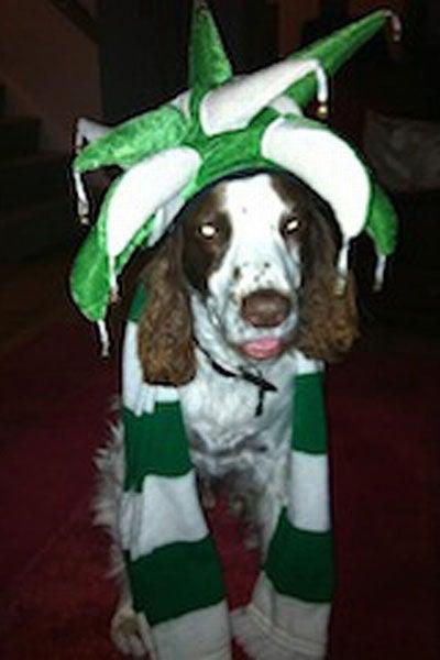 Louis es un gran fanático del Celtic | ESPECIAL