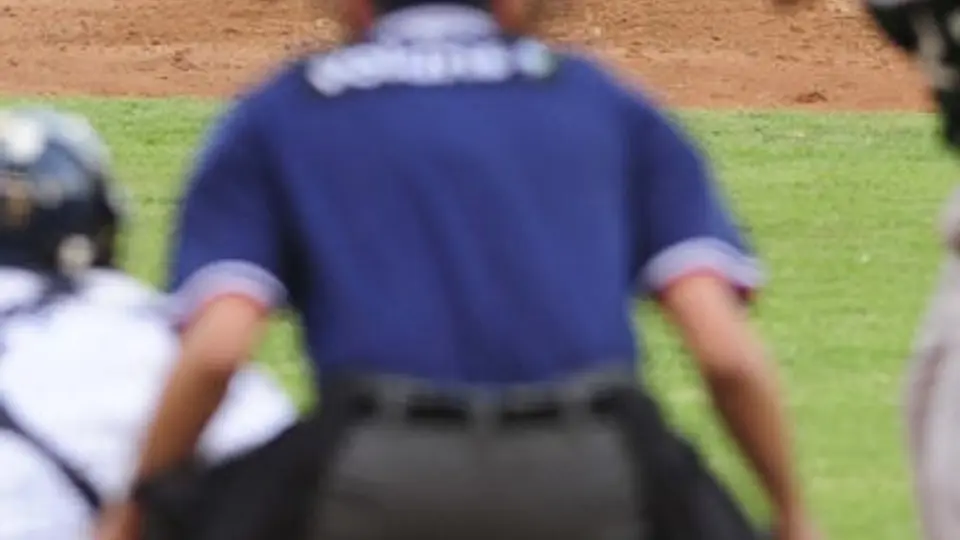 Sultanes recibe hoy a Pericos