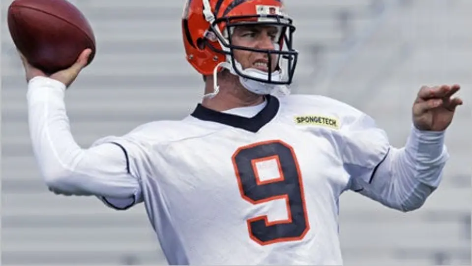 Carson Palmer está harto de los Bengalíes