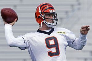 Carson Palmer está harto de los Bengalíes