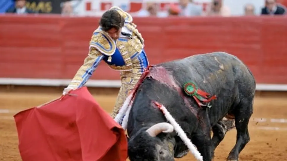 Castella triunfa en la México; corta oreja al segundo de la tarde