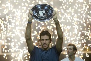 Del Potro se lleva el torneo de Rotterdam