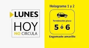 Este lunes descansan los vehículos con engomado azul y terminación de placa 9 y 0./ Gobierno de México