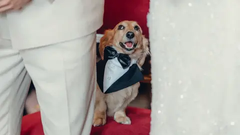 Leo Leclerc en la boda de Charles y Alexandra | X: @Charles_Leclerc
