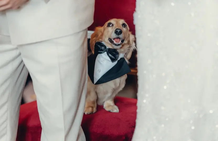 Leo Leclerc en la boda de Charles y Alexandra | X: @Charles_Leclerc