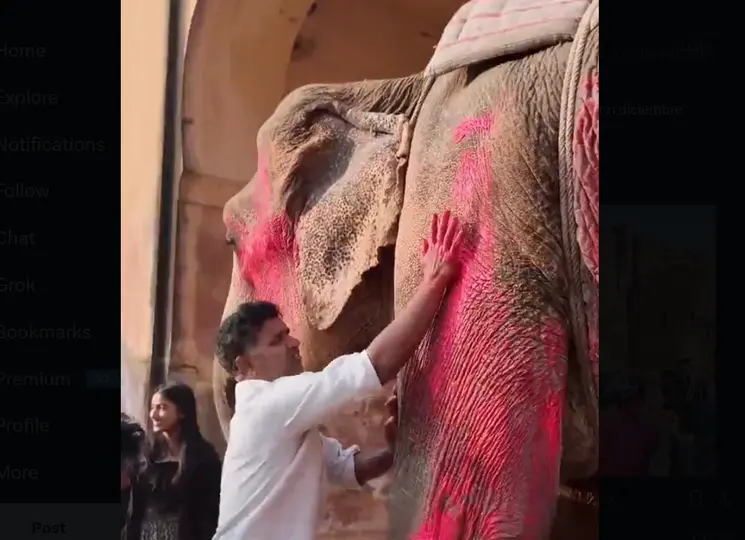 La fotógrafa aseguró que se usaron pigmentos orgánicos similares a los de festividades locales. / RS