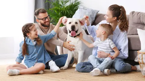 Actualmente, esta sanción no aplica por maltrato animal en la CDMX. / iStock