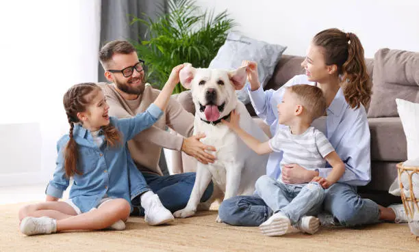 Actualmente, esta sanción no aplica por maltrato animal en la CDMX. / iStock