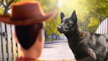 ¡Adiós a Capitán! muere el perrito héroe del sismo de 2017