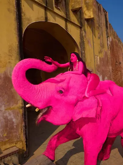 La imagen del elefante rosa se volvió viral, pero tras su muerte desató indignación. / RS