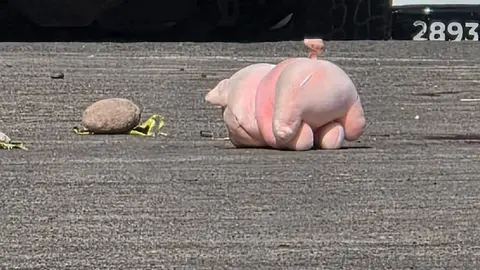 Al menos cuatro homicidios registrados en Culiacán durante mayo compartieron un elemento en común: un cerdito rosa abandonado junto a las víctimas./ RS