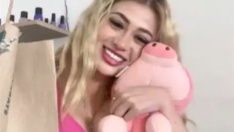 La aparición de peluches de cerdito rosa en escenas del crimen de Sinaloa y Baja California ha generado interrogantes, mientras las autoridades no han revelado su posible significado./ RS