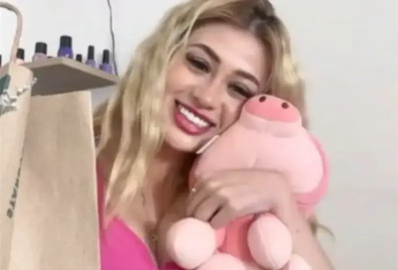 La aparición de peluches de cerdito rosa en escenas del crimen de Sinaloa y Baja California ha generado interrogantes, mientras las autoridades no han revelado su posible significado./ RS