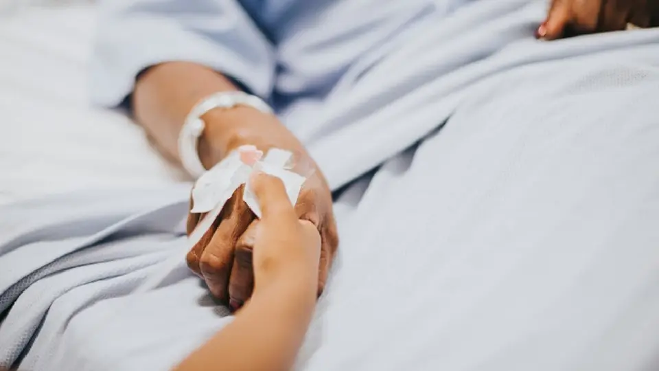 Jalisco confirmó la detección de un caso importado de paludismo o conocido como malaria / Magnific