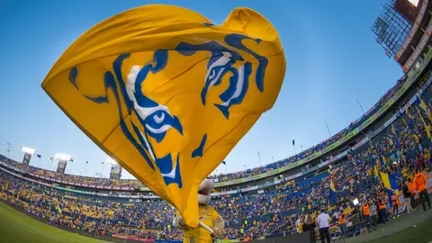 Fin de una era: Se va figura histórica de Tigres tras casi 10 años de trayectoria en el club