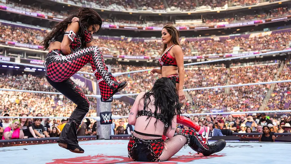 Brie Bella lesionada | wwe.com