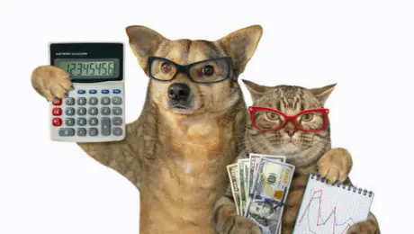 ¿Puedes dejarle tu herencia a tu perro o gato? Esto dice la ley en México