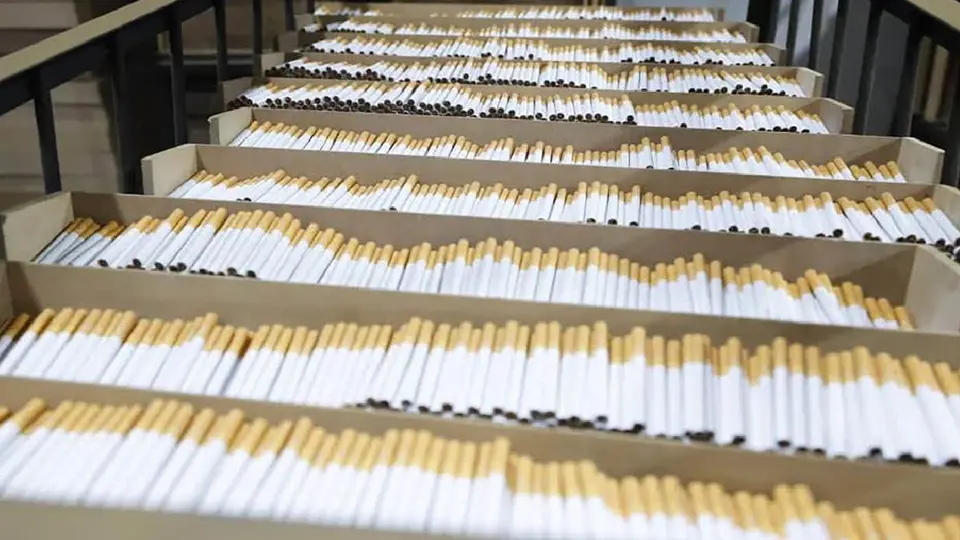 Aseguran casi 60 toneladas de cigarros ‘piratas’ en Edomex; detienen a dos canadienses
