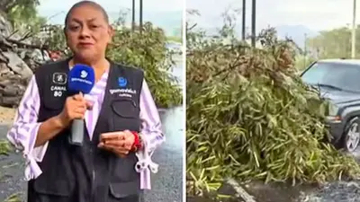 VIDEO: Atropellan a reportera y camarógrafo durante transmisión en vivo