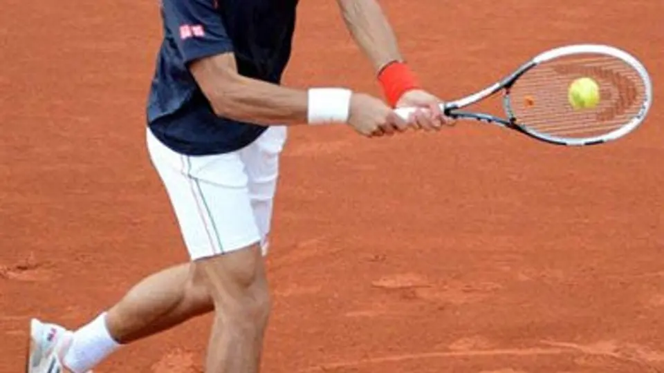 Djokovic vence fácilmente a Devilder