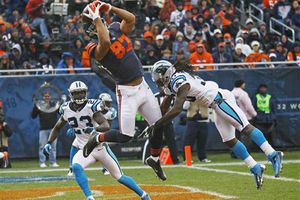 Osos vencen dramáticamente a Panteras